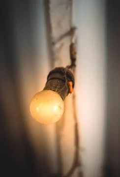 Old light bulb Stock Photos