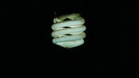 Old light bulb2 Vídeos de archivo 161680240