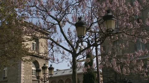 An old light pole in a park situated in Paris. Stock Footage 10858319