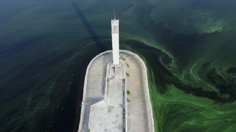 Old lighthouse. Algal bloom. Top down drone shot. 動画素材 156572949