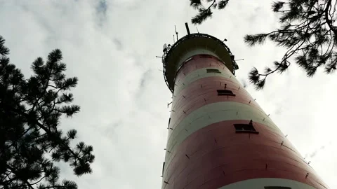 Old lighthouse with pine tree, low angle shot. Dutch island Video stock 136881034