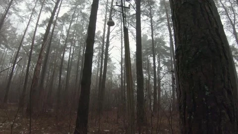 An old lighting lantern on pole in misty forest 動画素材 149022549
