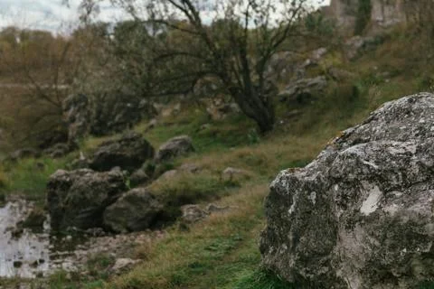 Old limestone cliffs in the north of Moldova on the river bank Stock Photos