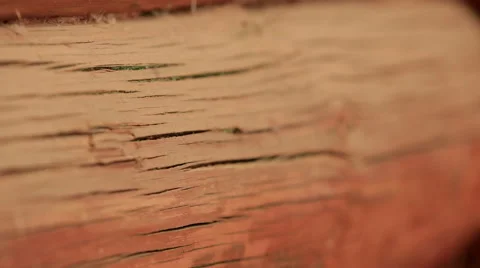 The old log all the cracks. Shallow depth of field. Concept of time and age. Stock Footage 61331122