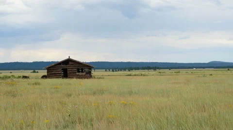Old log cabin on the open prairie Video stock 65366904