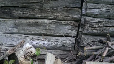 Old log house Stock Footage 137698274