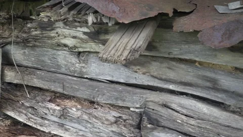 Old log house Stock Footage 137698515