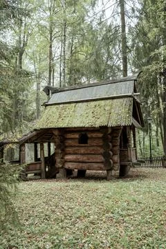 Old log house in the forest. Stock Photos