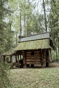 Old log house in the forest. Stock Photos