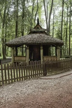 Old log house in the forest. Stock Photos