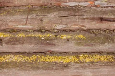 Old log house wall background Stock Photos