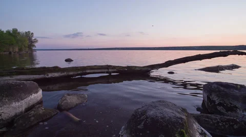 Old log over the lake Stock Footage 37537442