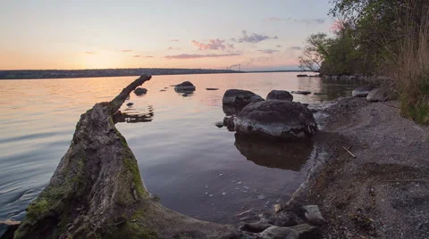Old log over the lake Stock Footage 37537451