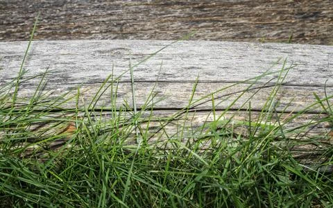 Old log Stock Photos