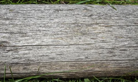 Old log Stock Photos