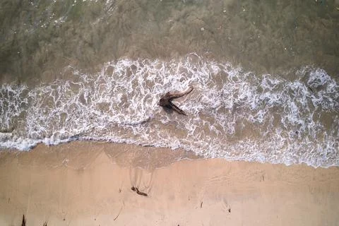 An old log with a root in the ocean was nailed by a wave with the tide from t Stock Photos