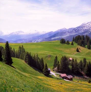 Old log stable on the alpine meadows covered in green grass and colorful flow Stock Photos