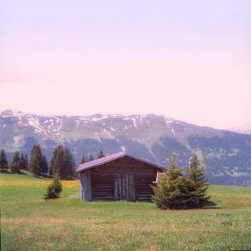 Old log stable on the alpine meadows covered in green grass and colorful flow Stock Photos