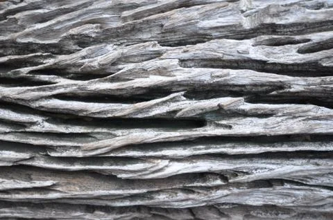 Old log surface abstract background Stock Photos