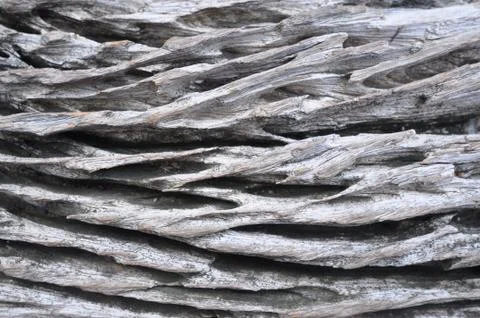 Old log surface abstract background Stock Photos