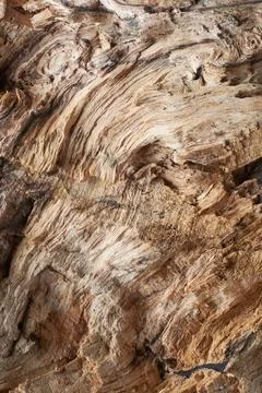 Old log surface abstract background Stock Photos