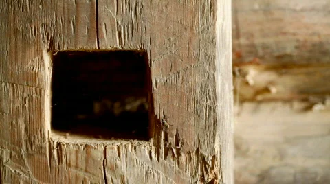 Old log wall - expressive texture and hole Stock Footage 810323