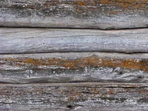 Old log walls texture Foto stock