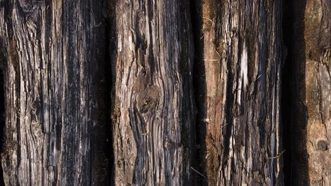 Old logs lying pack wood texture 库存影片 116997979