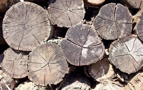 Old logs Stock-Fotos