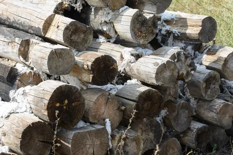 Old logs Stock Photos