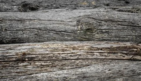 Old logs Stock Photos