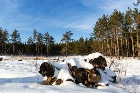 Old logs under snow Stock Photos