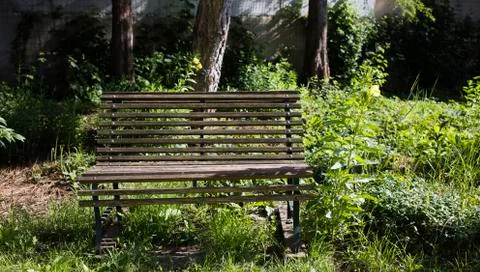Old lonely bench. 写真素材