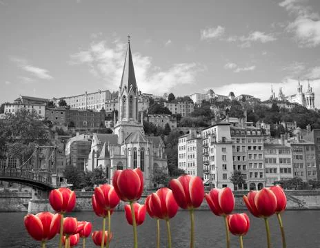 Old Lyon Stock Photos