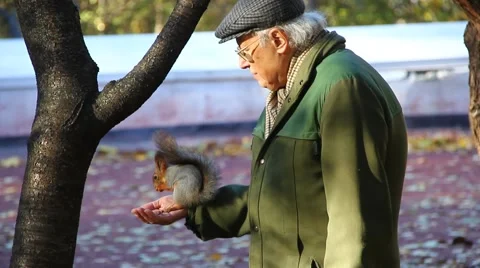 The old man and the squirrel 库存影片 68533852