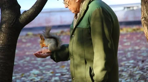 The old man and the squirrel 库存影片 68533860
