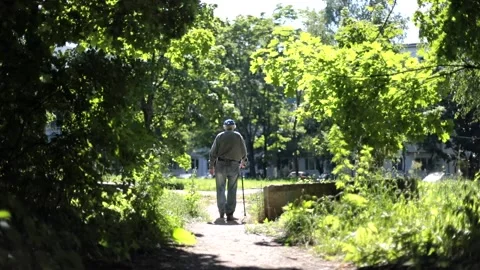 An old man with a cane walks down the street of the park in bright sunlight. Stock Footage 161438647
