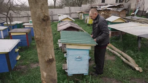 An old man checks the beehives Stock Footage 259559456