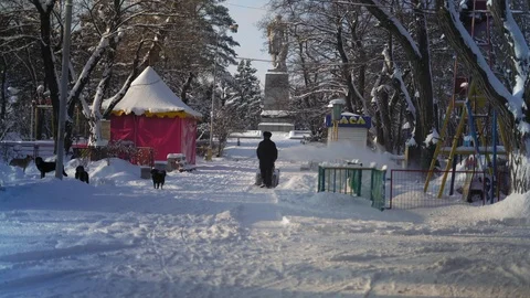 Old Man Cleans Snow Track in Park Stock Footage 101760226