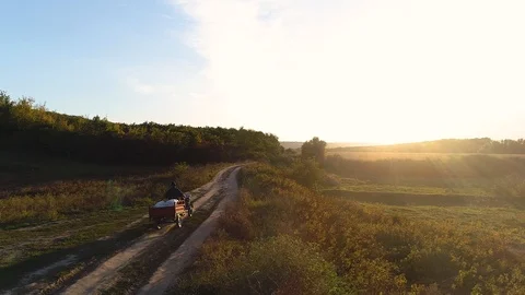 An old man coming from work on a vehicle on a path near a meadow, during suns Stock Footage 113069575