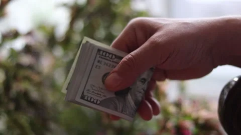 An old man counting 100 US dollar bills with a green plant Stock Footage 135443317