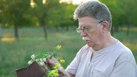 Old man decorates cowboy hat with flowers in the park at sunset, 4k Video stock 95955704