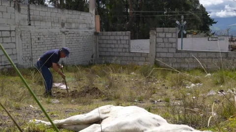 Old man digging a grave for his dead dog in South America - no face.MOV 스톡 동영상 277631526