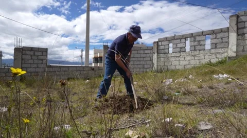 Old man digging a hole in the ground with a pickaxe.MOV Stock Footage 277631687