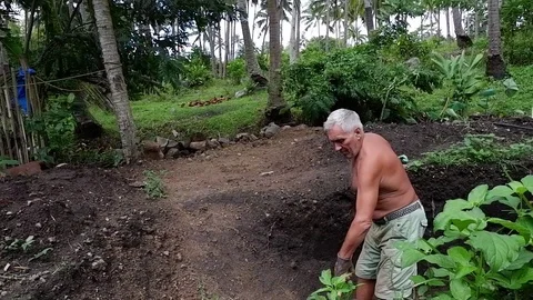 Old man digs a hole in his garden. Video stock 122201361