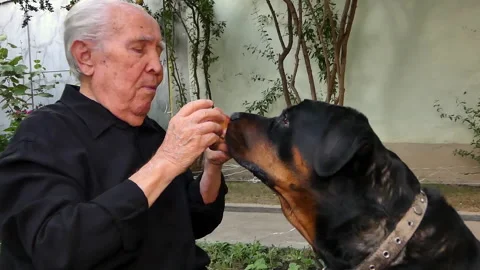 An old man with a dog in his yard eating fruit. Stock Footage 137329516