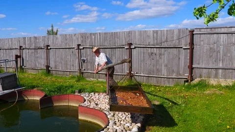 The old man down the feeder fish that bred in the pond. Stockbeeldmateriaal 76096881