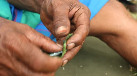 Old man eating betel nut or paan mix, which is used for a stimulating. Stock Footage 39489341