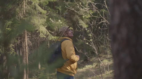 Old man enjoys hiking in deep forest watching spring trees Stock Footage 244140481