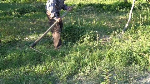 Old Man Farmer Cutting Weeds With Sickle... | Stock Video | Pond5